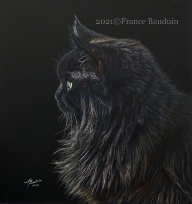 Mr Tibbs - 16.5 hours
Black Colourfix Smooth
14" x 12.5"
Commission